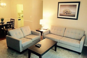 Affordable Apartments for Rent in Cary, NC - Arbors at Cary - Living Room with Plush Carpeting