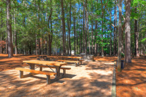 Exterior Picnic area, outdoor grill, planter boxes, multiple picnic tables, lush foliage surrounding picnic area, photo taken on a sunny day.